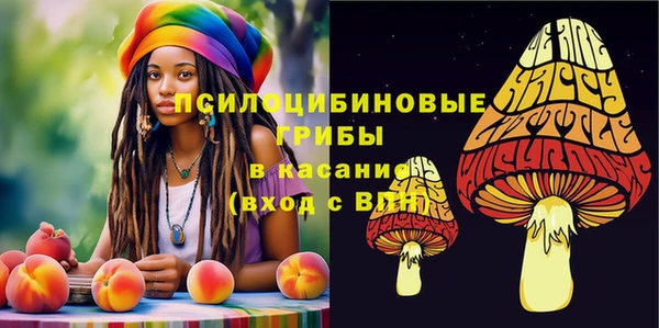 тгк Россошь