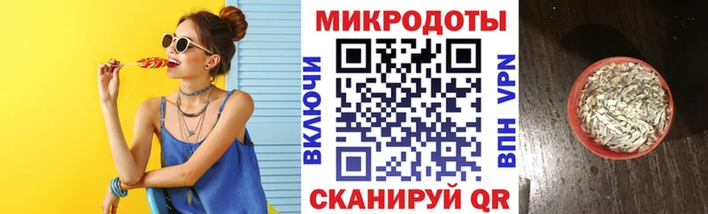 кракен как войти Светлый Псилоцибиновые грибы Cubensis